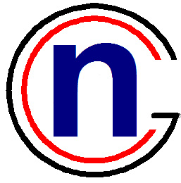 Ngineer Consulting Group